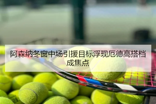 阿森纳冬窗中场引援目标浮现厄德高搭档成焦点